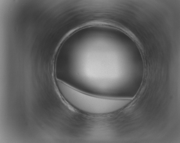 X0000073480862200607310849