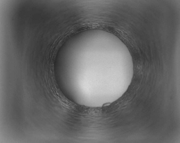 X0000073480865200607310848