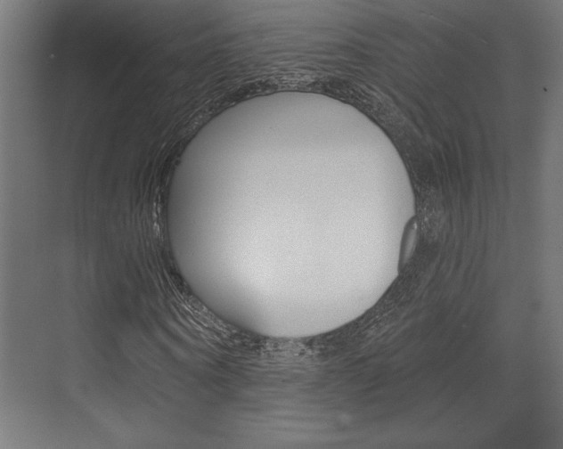 X0000073480866200607310848