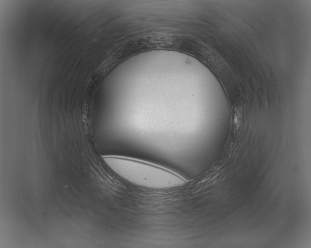 X0000073480867200607310848