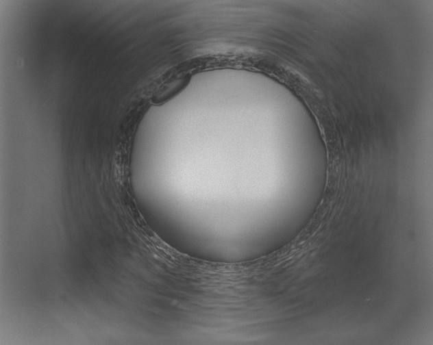 X0000073480869200607310848