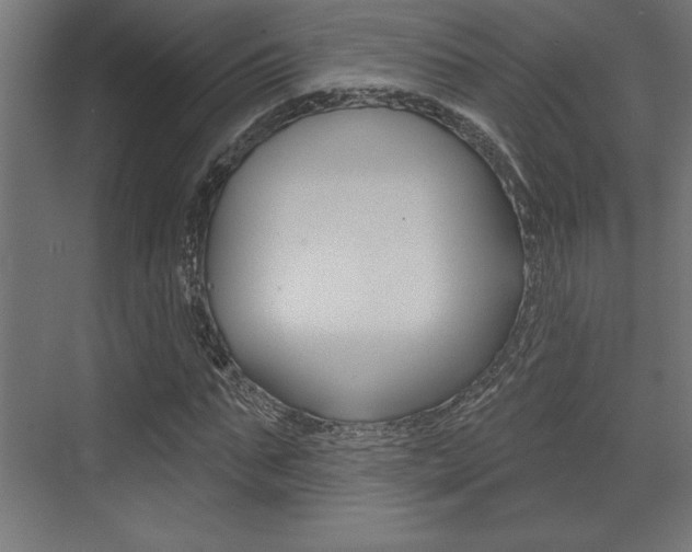 X0000073480871200607310848