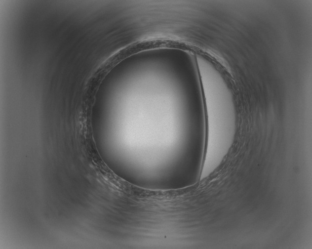 X0000073480872200607310848