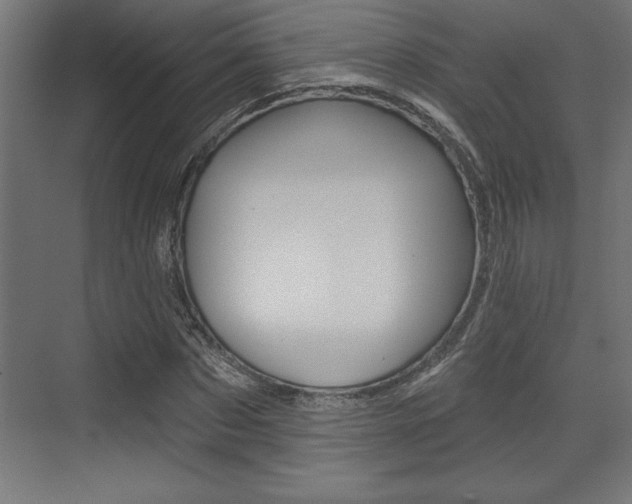 X0000073480873200607310848