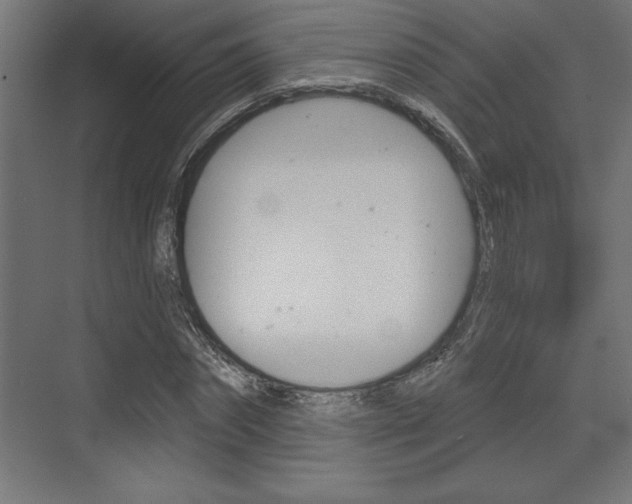 X0000073480874200607310848