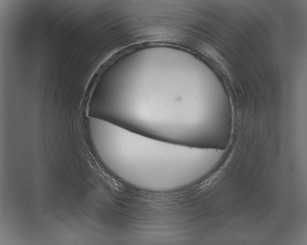 X0000073480875200607310848