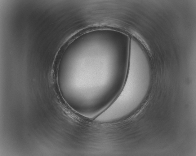 X0000073480876200607310848