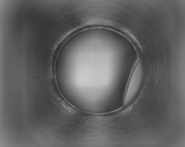 X0000073480877200607310848