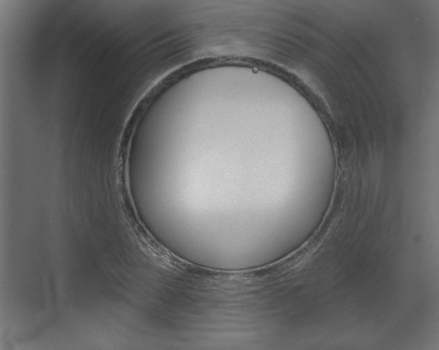 X0000073480879200607310848
