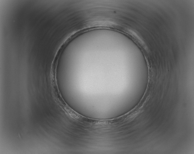 X0000073480883200607310848