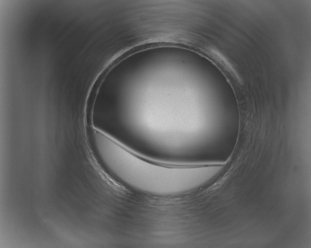 X0000073480884200607310848