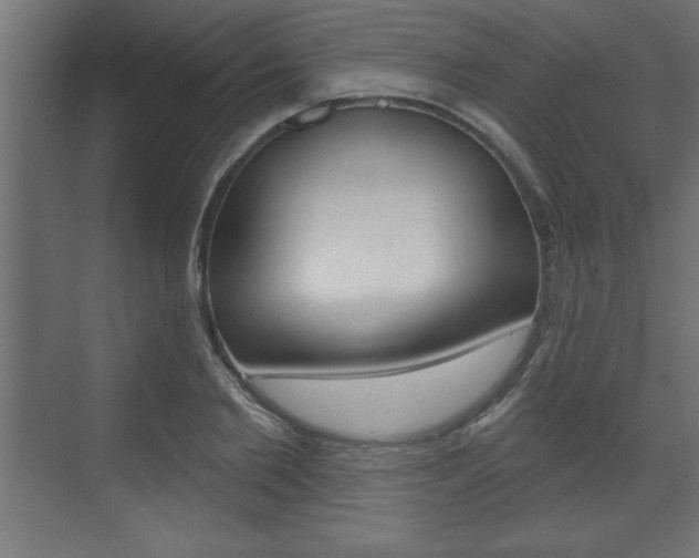 X0000073480885200607310848