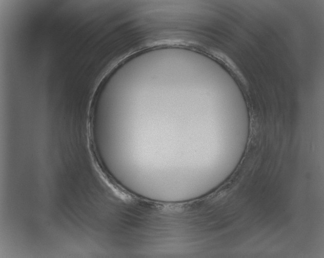 X0000073480890200607310848