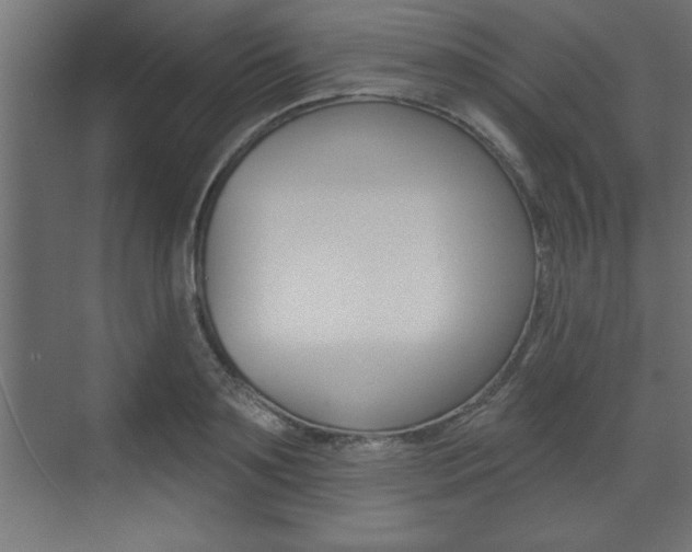 X0000073480891200607310848