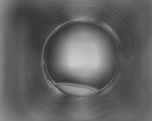 X0000073480892200607310848