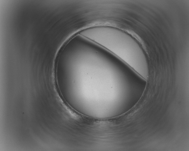 X0000073480894200607310848