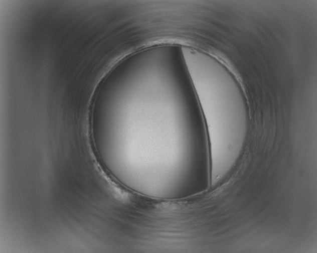X0000073480898200607310848