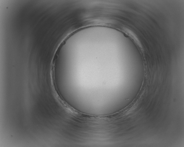 X0000073480899200607310848