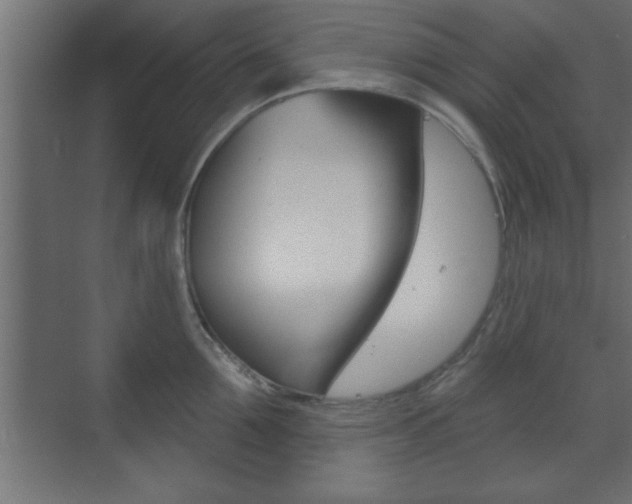 X0000073480907200607310848