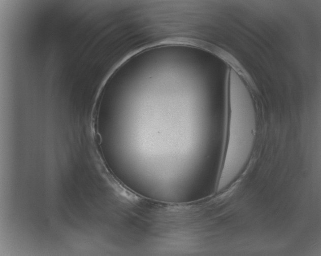 X0000073480908200607310848