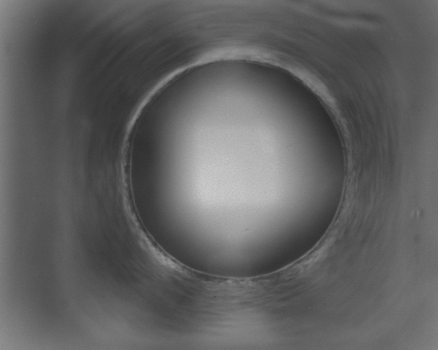 X0000073480912200607310848