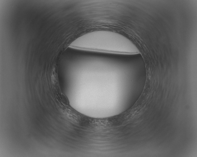 X0000073480915200607310847