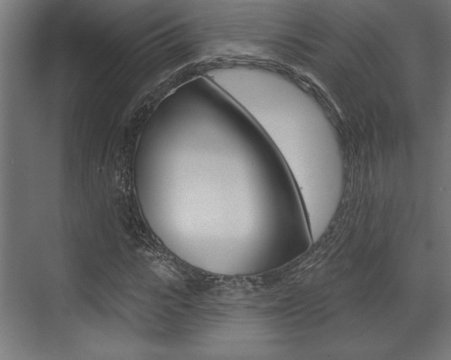 X0000073480919200607310847