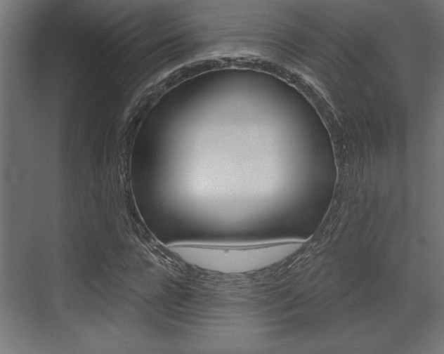 X0000073480920200607310847