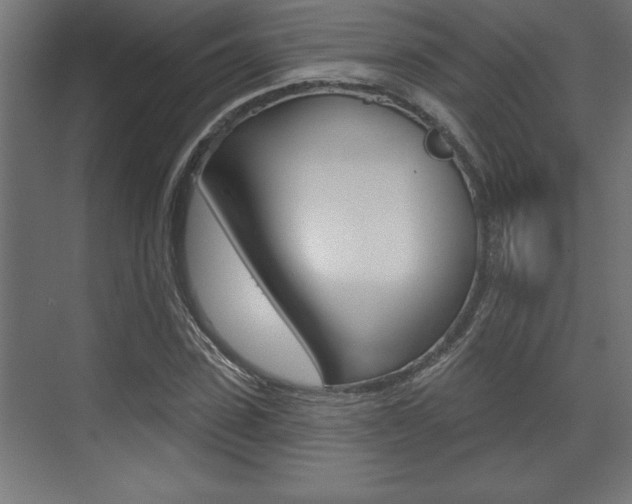 X0000073480923200607310847