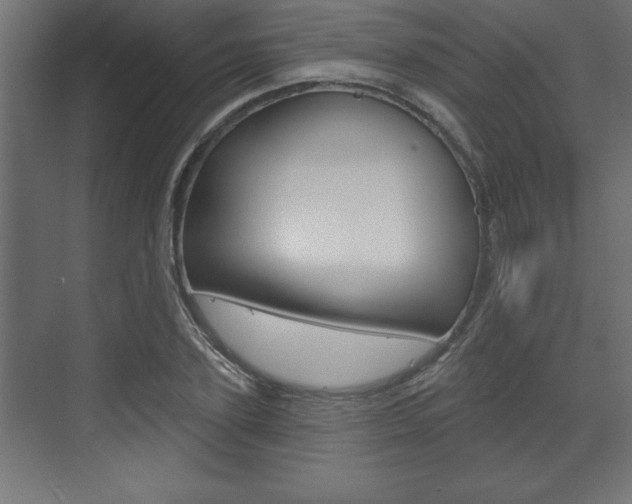 X0000073480931200607310847
