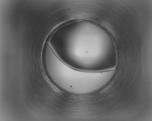 X0000073480932200607310847