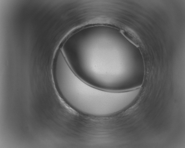 X0000073480942200607310847