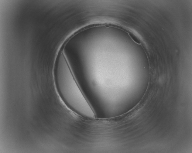 X0000073480943200607310847