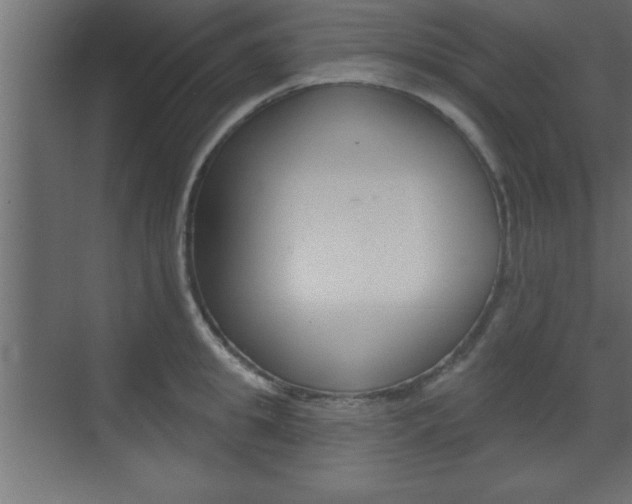 X0000073480949200607310847