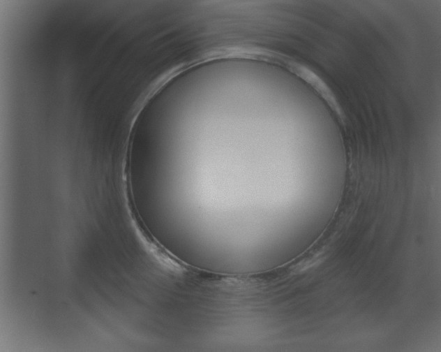 X0000073480954200607310847