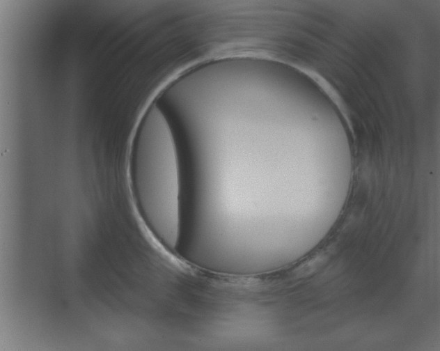 X0000073480957200607310848