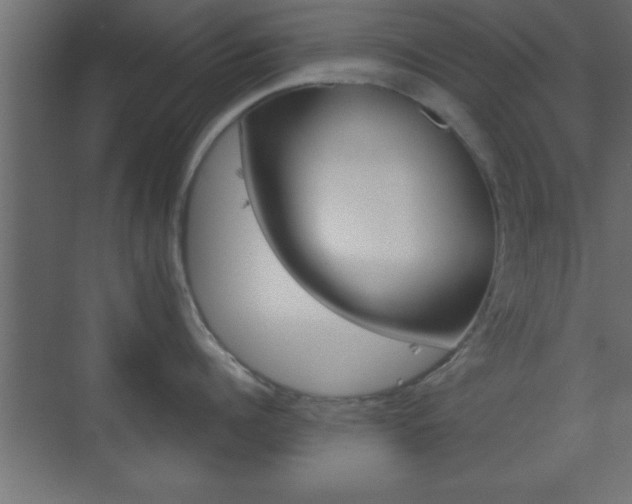 X0000073480960200607310848