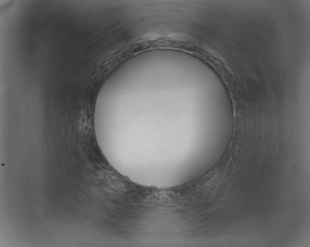 X0000073480966200607310847