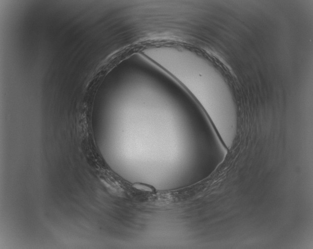 X0000073480968200607310847
