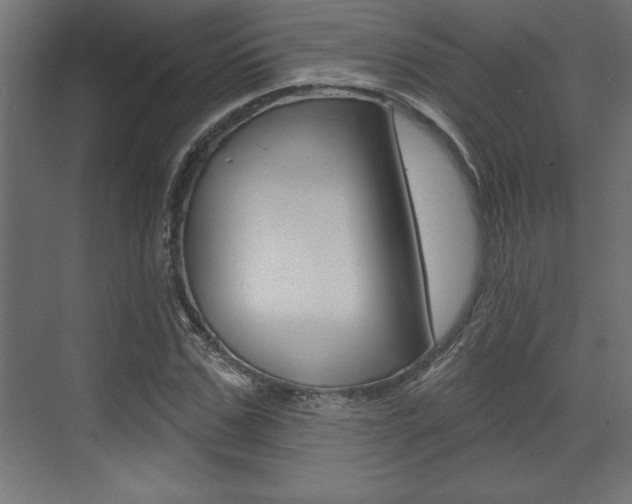 X0000073480971200607310847