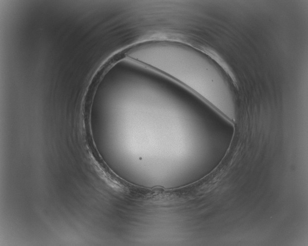 X0000073480972200607310847
