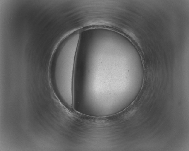 X0000073480979200607310846