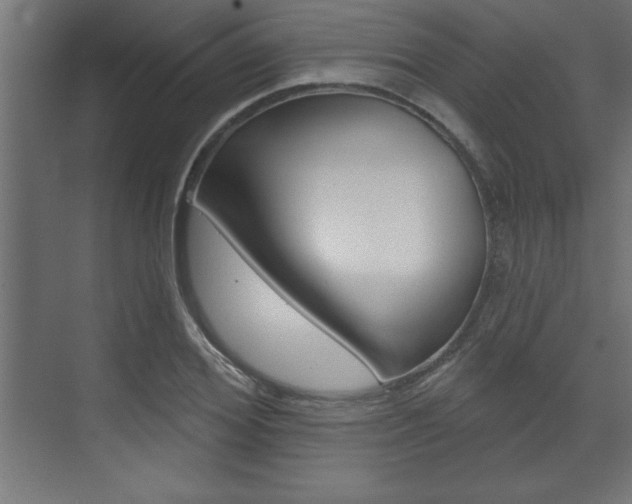 X0000073480980200607310846