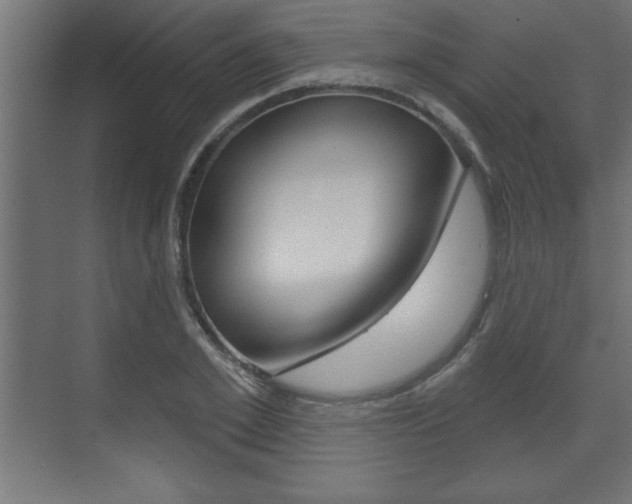 X0000073480981200607310846