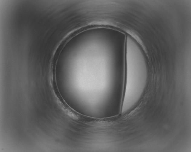 X0000073480984200607310846