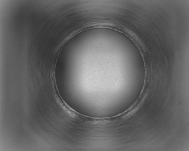X0000073480985200607310846