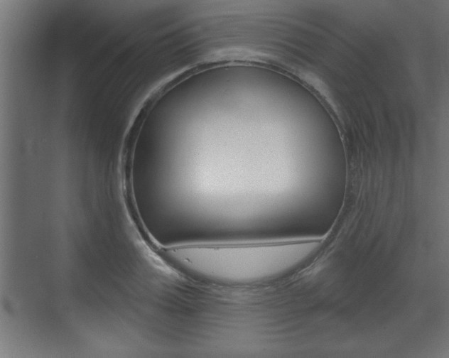 X0000073480987200607310846