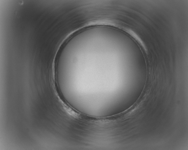 X0000073480988200607310846