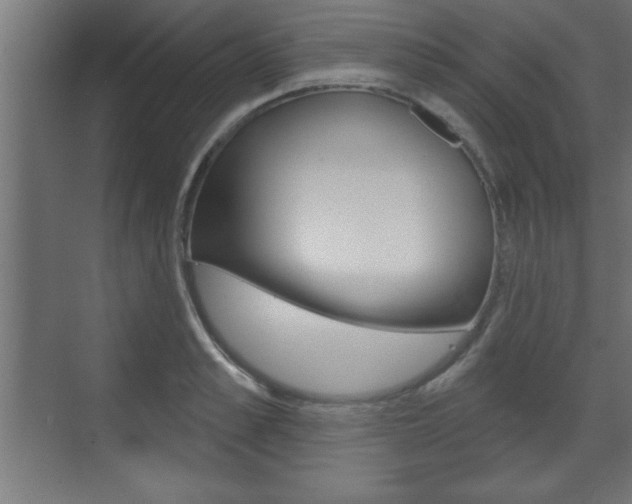 X0000073480989200607310846