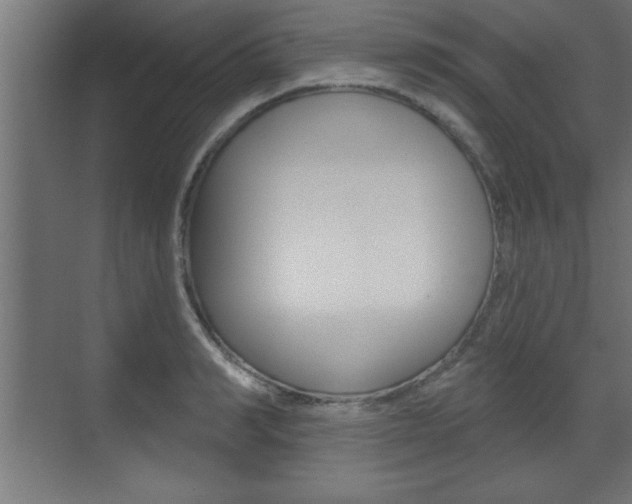 X0000073480990200607310846